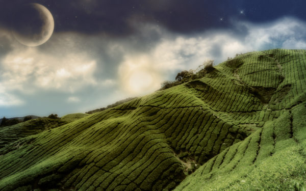 Plantation 1920x1200